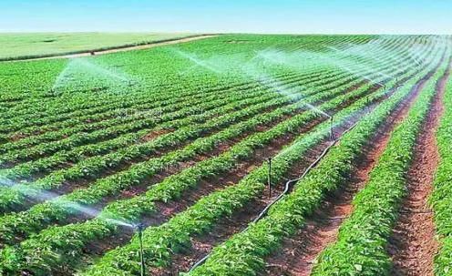 爆艹穴视频在线观看农田高 效节水灌溉
